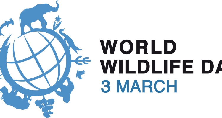 United Nations World Wildlife Day