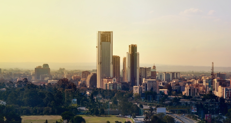 1 Day Nairobi City Tour Trip Excursion