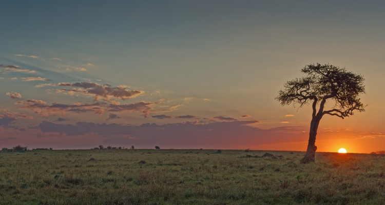 14 Days Classic East Africa Kenya Safari & Tanzania Safari Tour