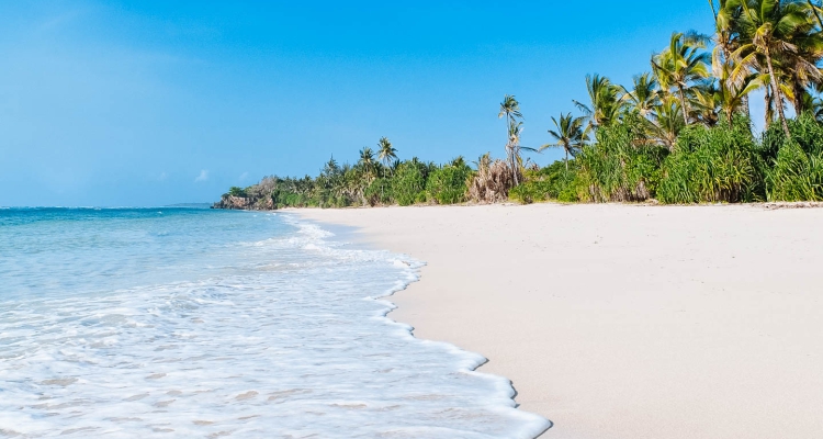 5 Days Msambweni Beach Holiday Kenya Safari