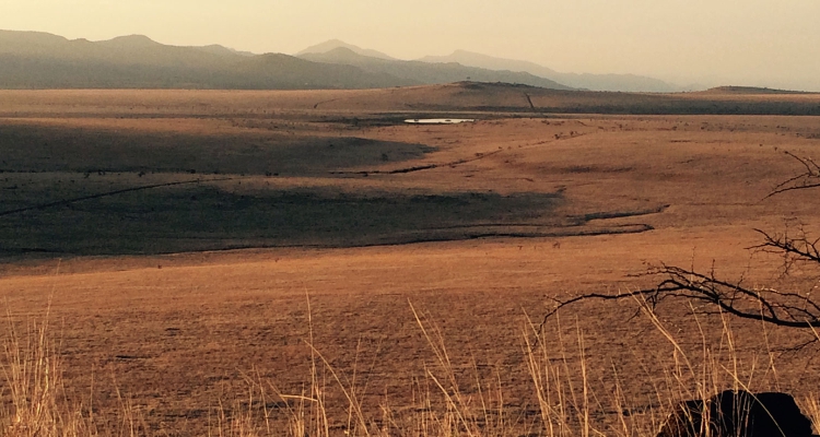 7 Days Kenya Safari Tour In Laikipia Mathews Range Wildlife Conservancies