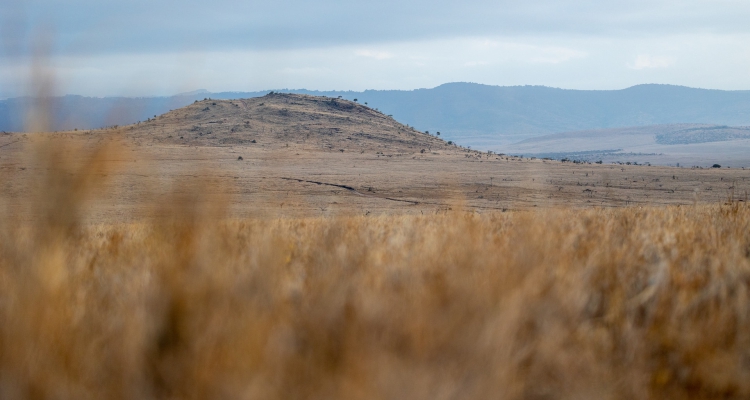 7 Days Masai Mara Safari Kenya Tour & Meru Safari in Kenya