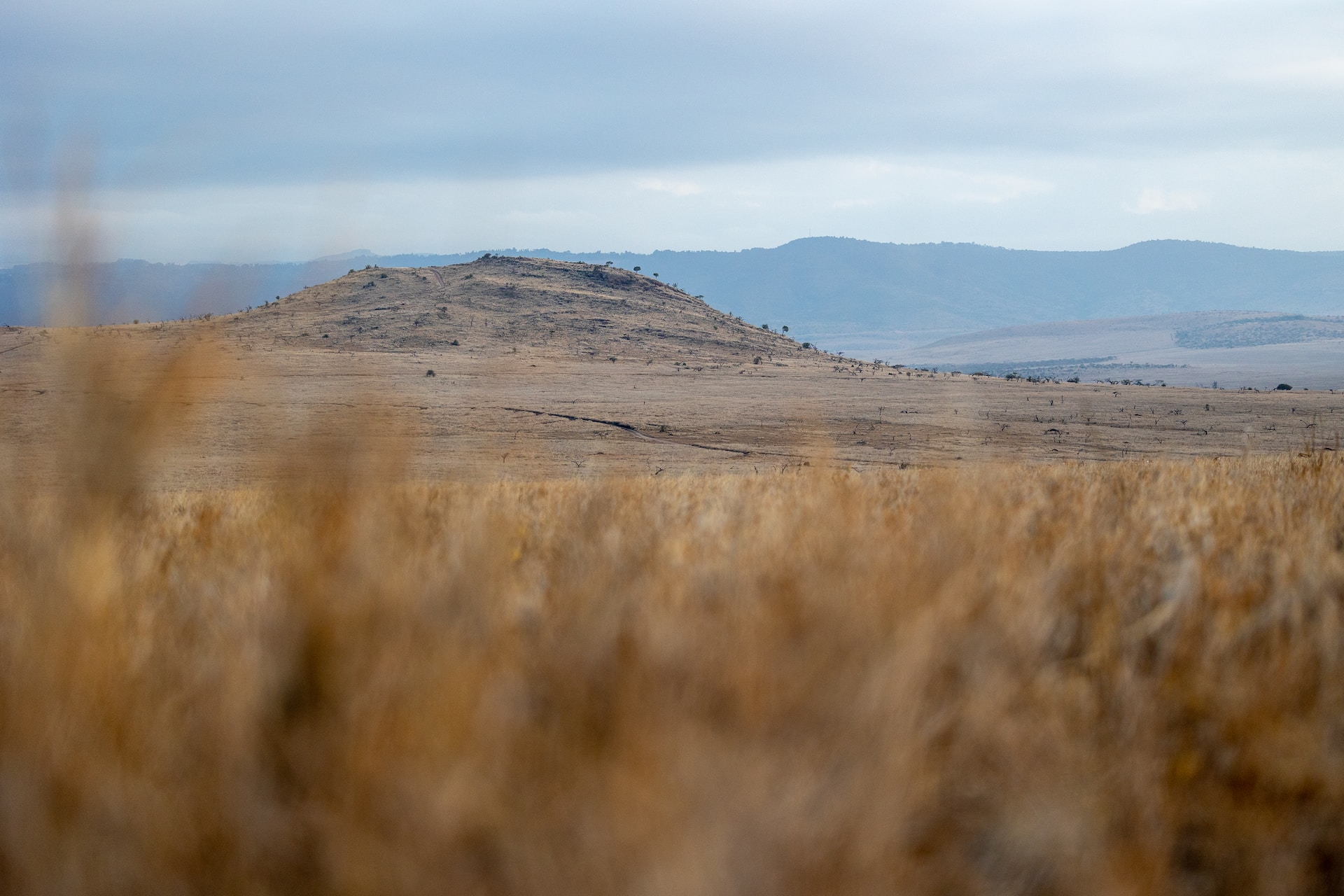 Meru National Park Kenya