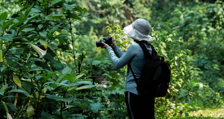 Bwindi Impenetrable National Park