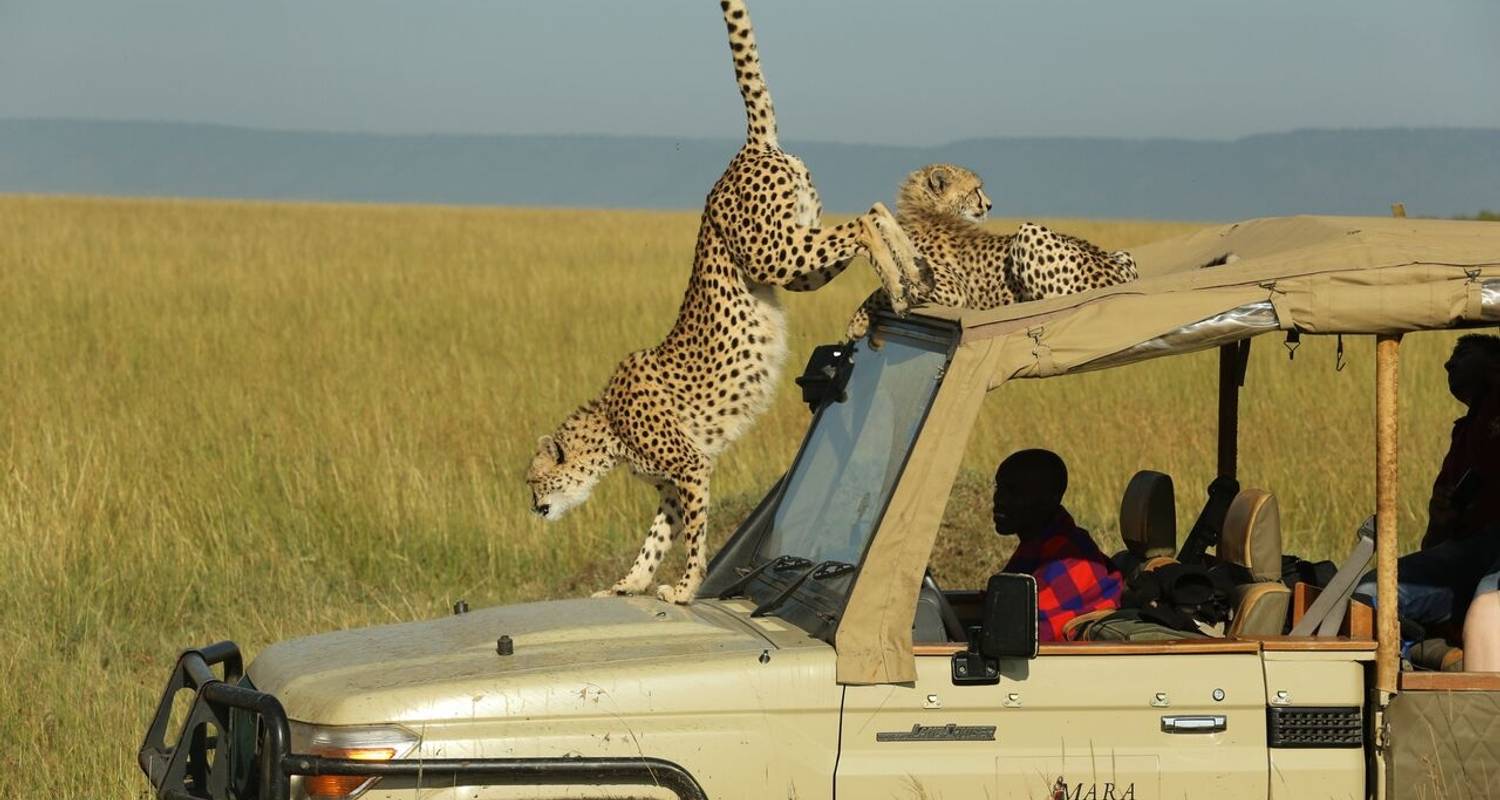 Uganda & Kenya Safaris and Tours