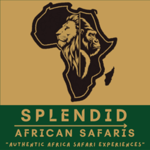 Splendid African Safaris