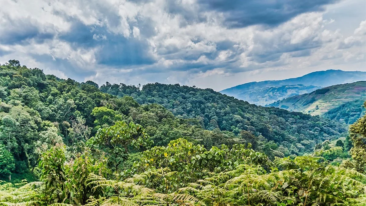 Uganda Rwanda Safaris & Tours