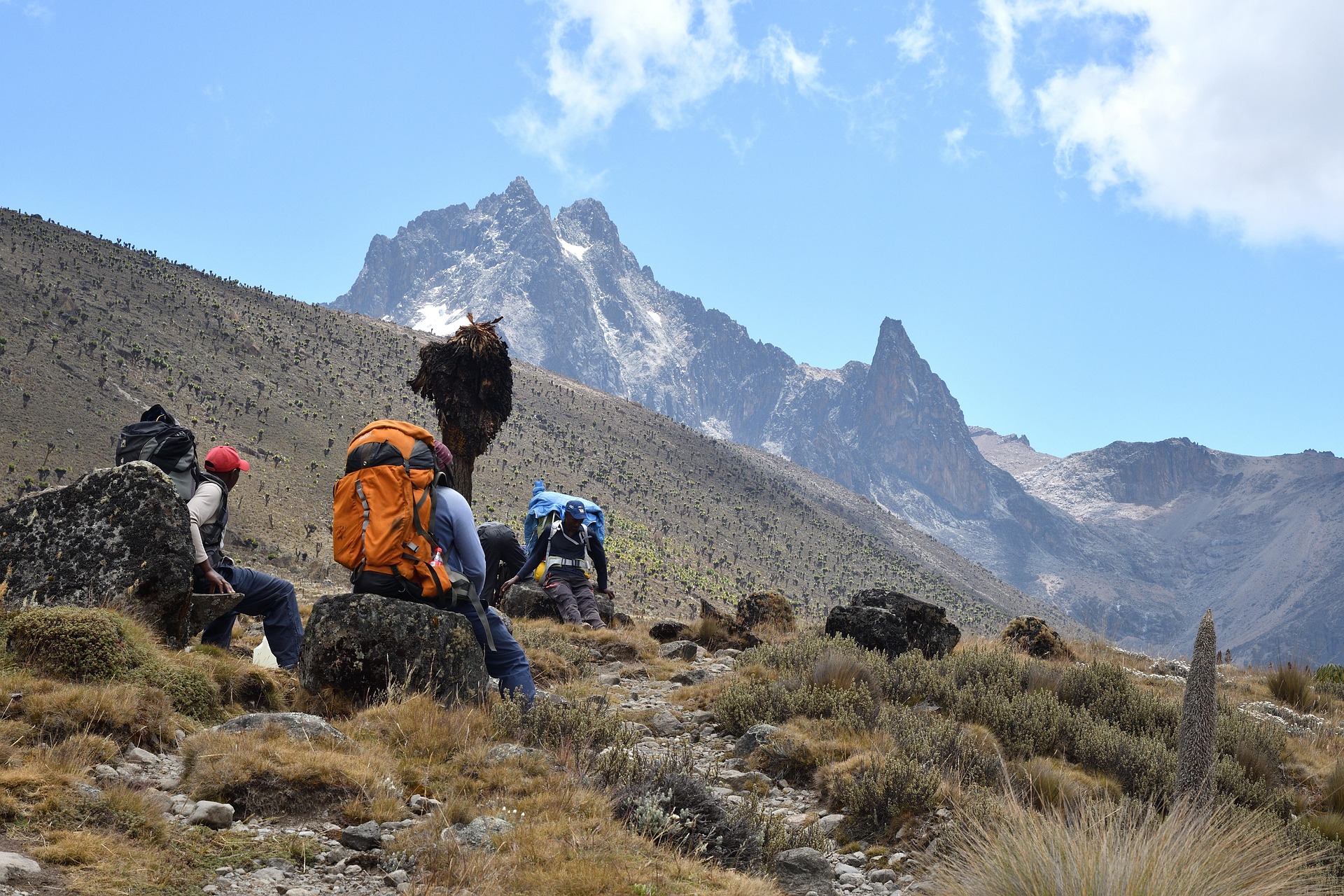 mount kenya national park