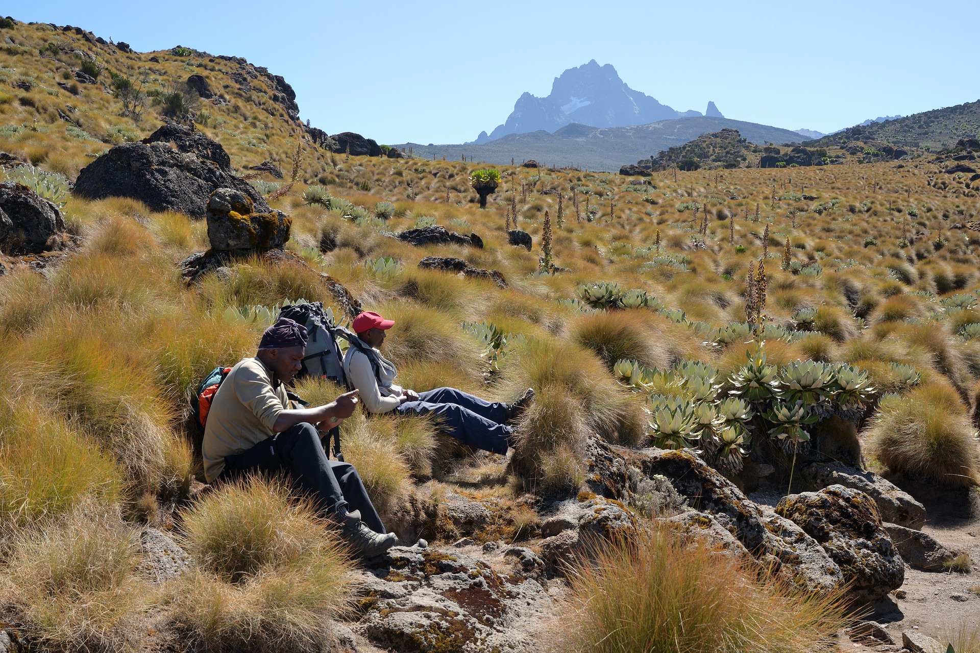 Mount Kenya National Park