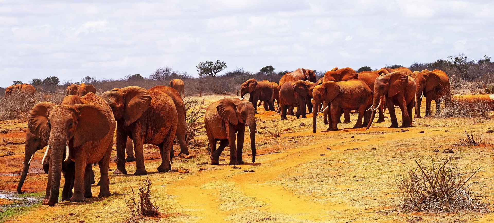 Tsavo East National Park