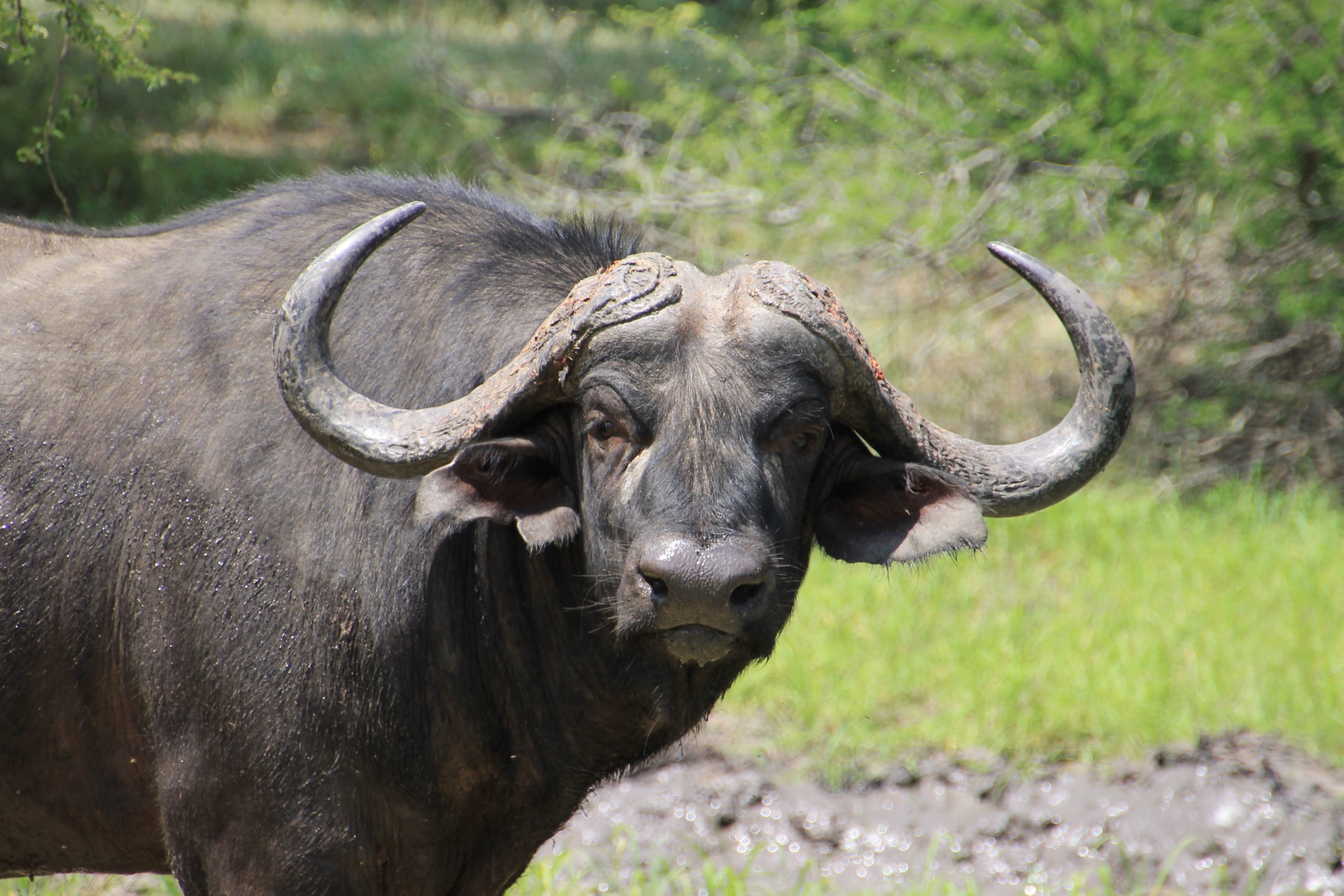 Udzungwa National Park